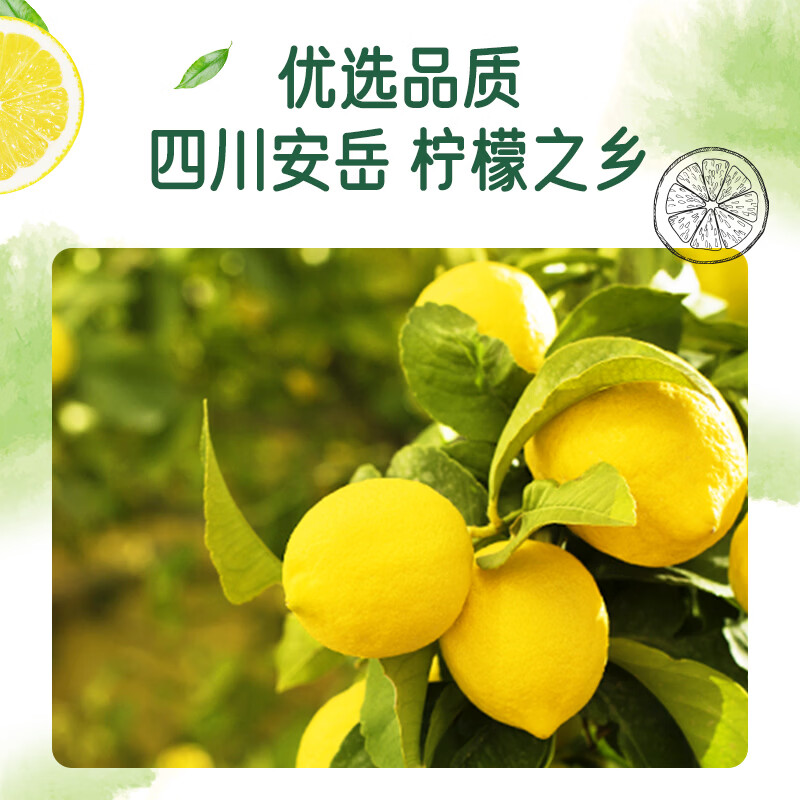 都乐（DOLE）一片柠檬圈35g 果脯蜜饯果干 富含vc 儿童休闲零食 办公室小吃 