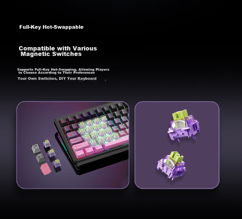 Western Hunter CK98PRO Magnetic Axis Keyboard 98-Key Wired Gaming Keyboard Full-Key Hot-Swappable FPS Dual-Drive Valorant Delta PUBG Gaming Keyboard 17
