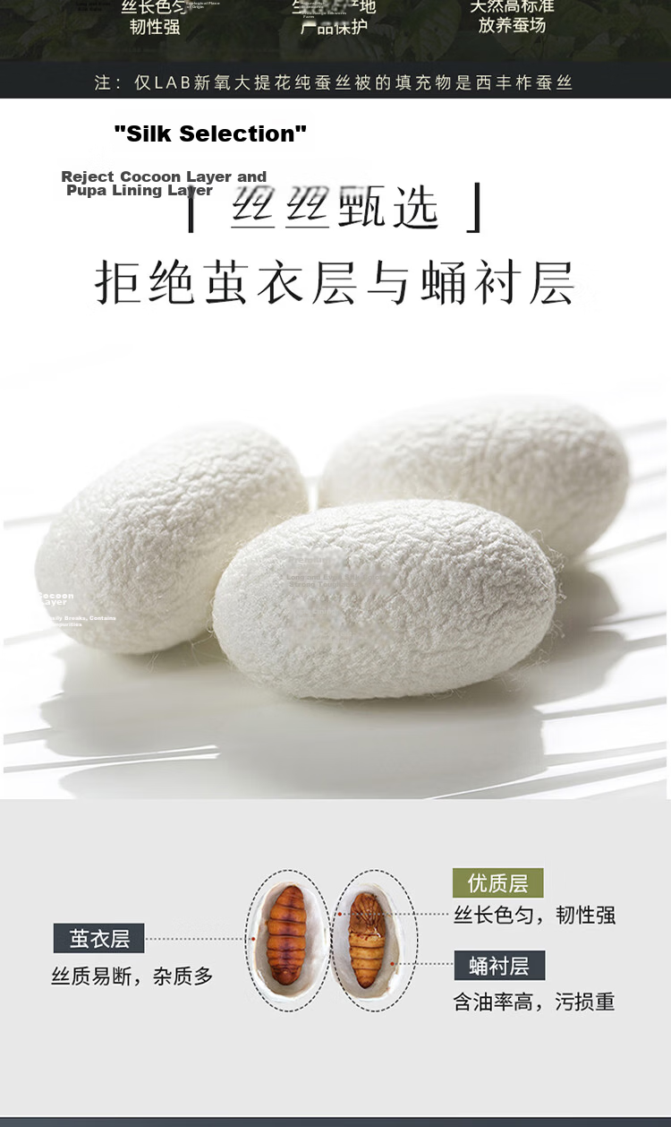Mengjie Home Textiles [70th Anniversary] 100% Silk Summer Quilt Cooling Washable Air Conditioning Quilt 248x248cm Filling 500g 3