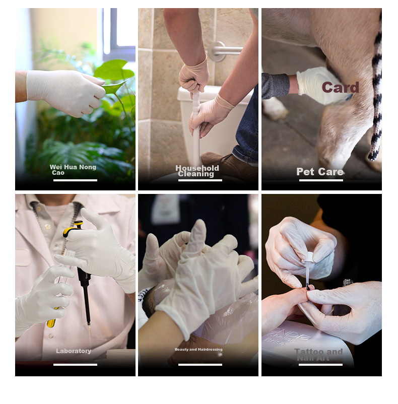 AMMEX Disposable Latex Gloves, Durable Type, 100 Pieces, Off-White TLFCMD, Medium Size M 8
