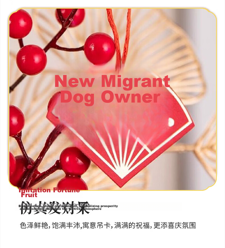 Jianyi Home Elegant Housewarming Gift Entrance Decoration Living Room Ornament High-End Stylish 2026 13