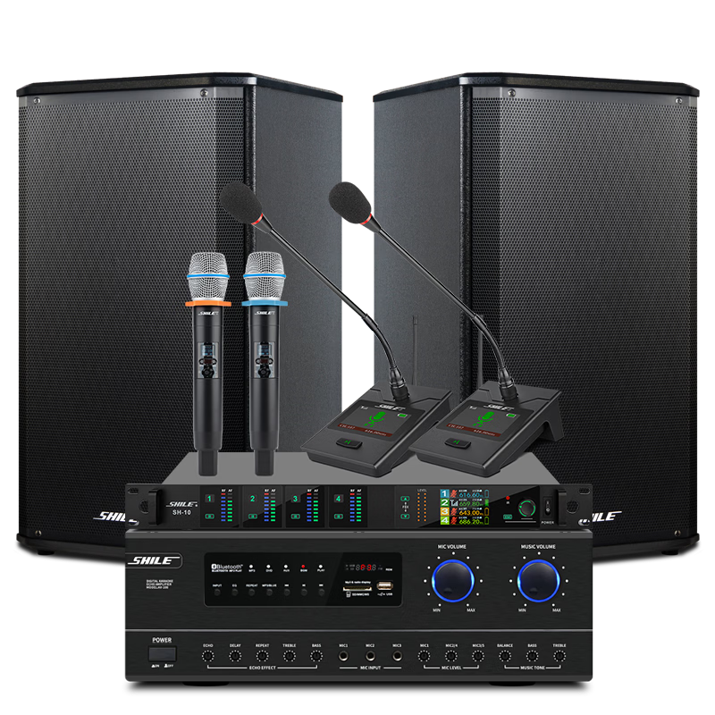 SHILE Professional Small to Medium-Sized Conference Room Audio System Set with Wall-Mounted Speakers, Amplifier, And Microphone Combination Teaching Training Lecture Audio System AV108+108*2 Black+SH10