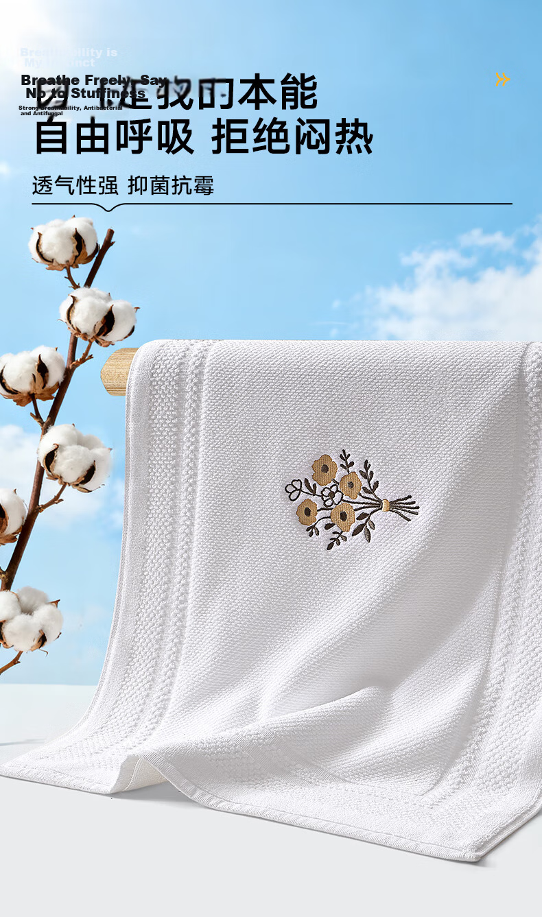 Baineng Pure Cotton Hotel Bathroom Door Water Absorbent Mat Toilet Floor Mat 50x80cm 15
