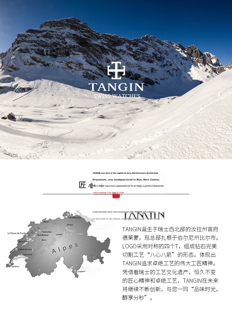 TANGIN Swiss Men's Mechanical Automatic Steel Strap Watch Gift for Boyfriend 17