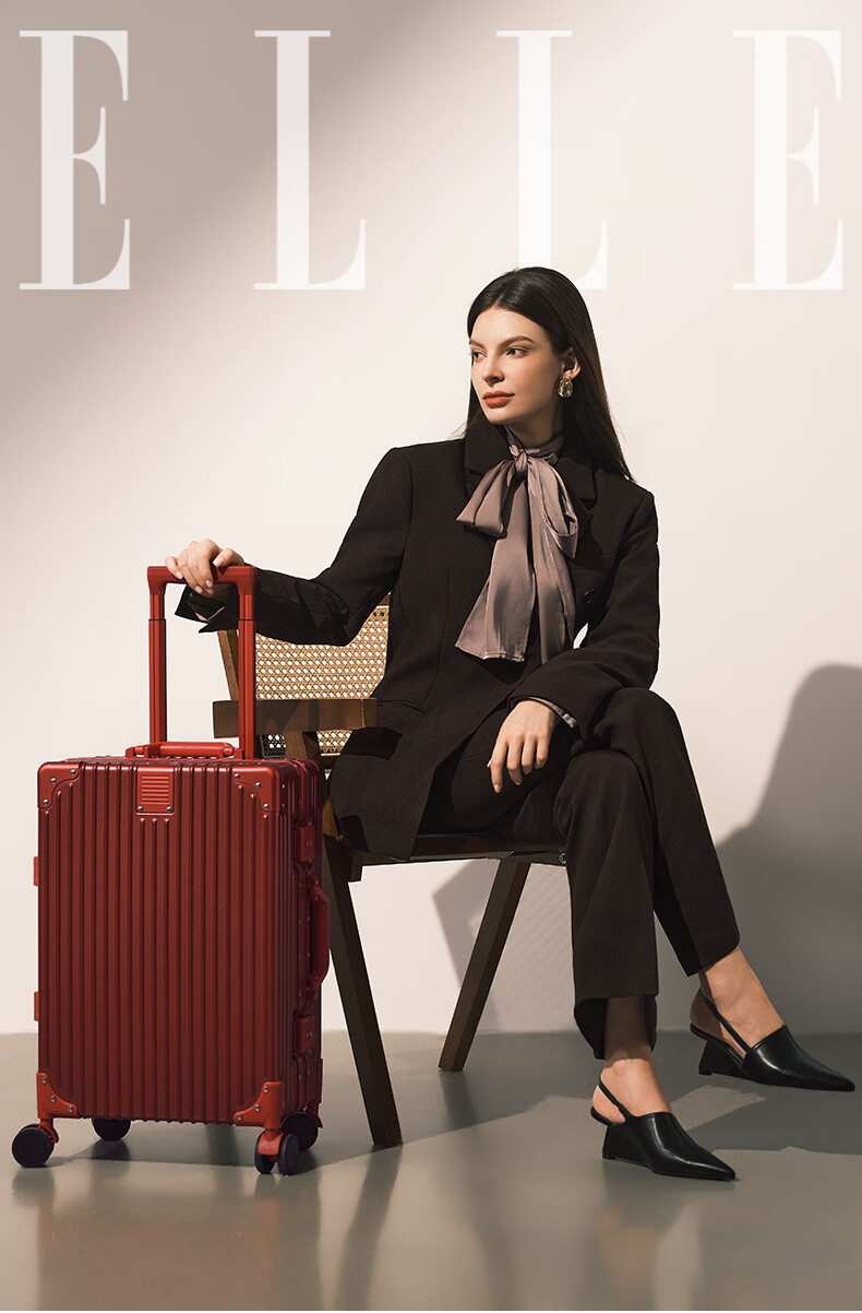 ELLE France 20-inch Black Fashion Aluminum Frame Trolley Suitcase with Spinner Wheels TSA Lock Travel Luggage 1