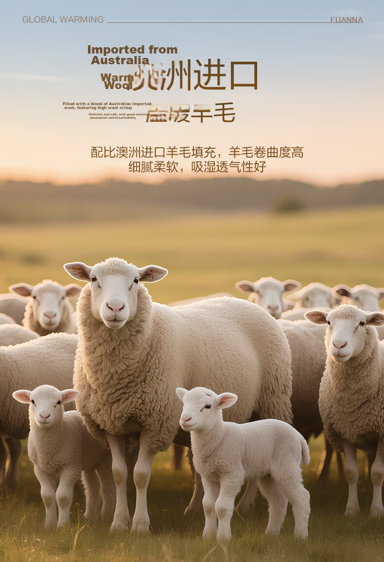 FUANNA Class A Australian Imported 51% Wool Comforter, All-Season Single Dormitory Duvet Insert, Approximately 4.8 Jin, 152*210cm 3