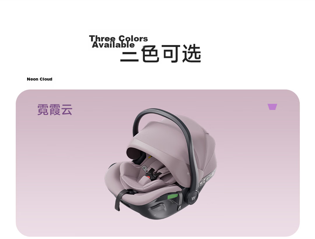 Welldon Little Crown 3 New National Standard Infant Car Seat Carrier 0-15 Months Newborn Baby Special Seat 27
