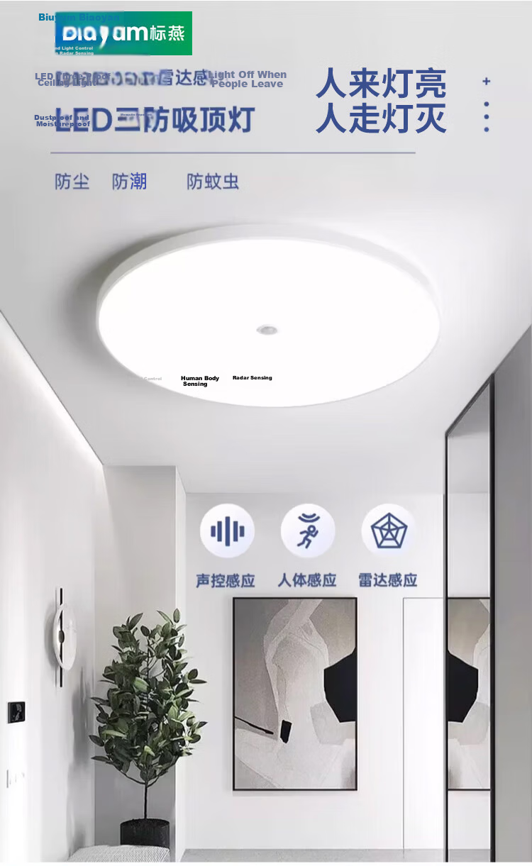 Biuyum Radar Sensor LED Ceiling Industrial Waterproof Light Engineering Stairway Corridor Ultra-thin Motion Sensor Smart Light 18W Diameter 30cm 2