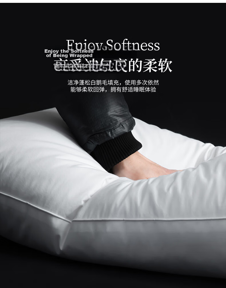 La Torretta A-Class 100% White Goose Down Cotton Pillow Five-Star Hotel Pillow Core Adult Single 3