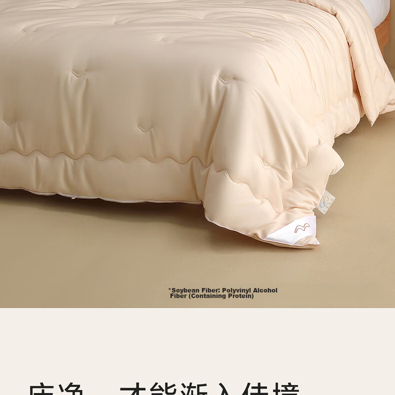 Shuixingjiafang Soybean Quilt Summer Cool Quilt Double Air Conditioning Quilt Washable Summer Quilt Thin Quilt 220x240cm Approximately 4 Ji 10