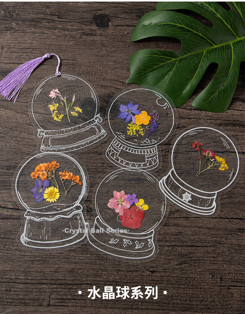 Tianse Transparent Dried Flower Bookmarks Handmade DIY Material Kit Leaf Specimen Laminated Plant Pressed Petals Back to School Set 20 Sheets TS-6132 8