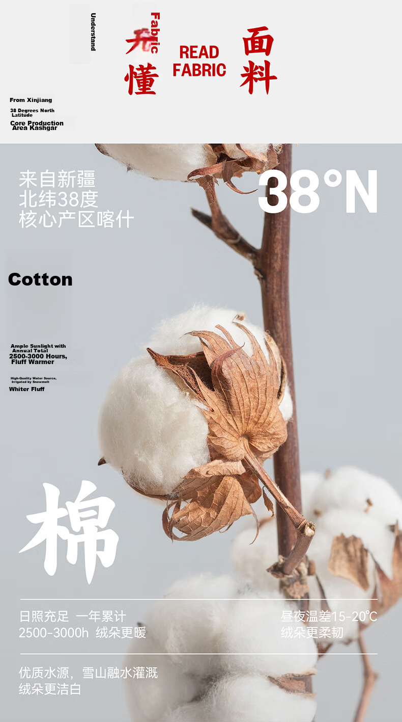 Threegun [7A Original Yarn Antibacterial] Pure Cotton Ribbed Stretch Vest Women's Basic Breathable Crew Neck Shirt 2-Pack 4
