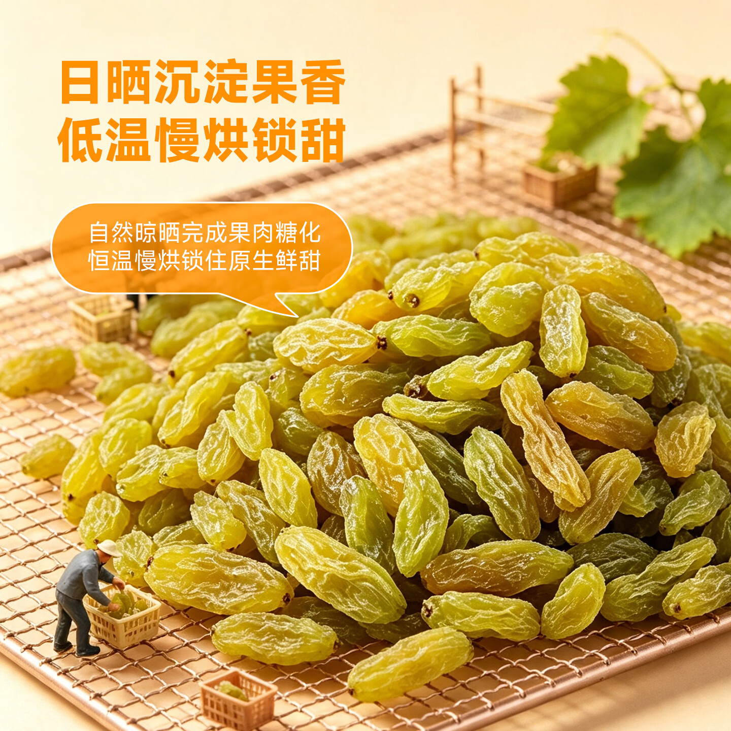 鲜记 绿香妃葡萄干500g 新疆吐鲁番特产大颗粒 蜜饯果干 休闲零食