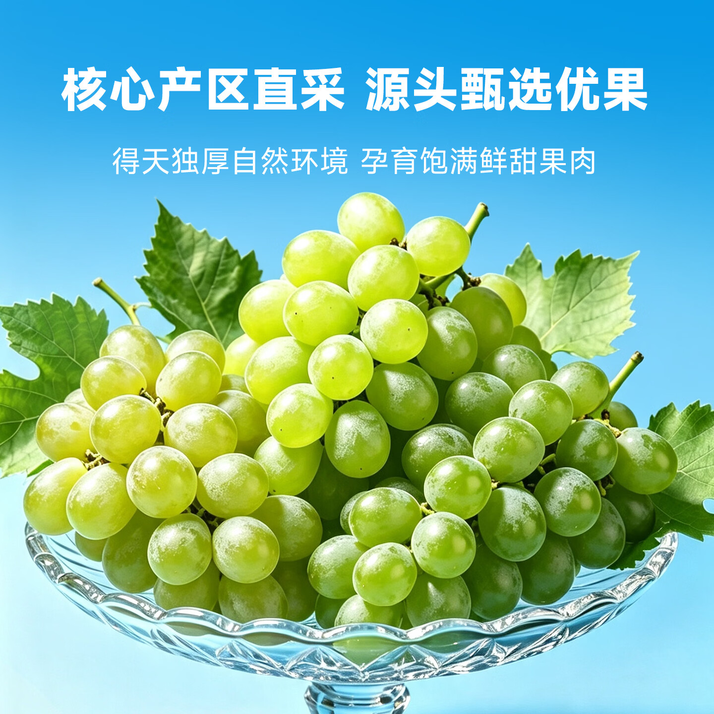 鲜记 绿香妃葡萄干500g 新疆吐鲁番特产大颗粒 蜜饯果干 休闲零食