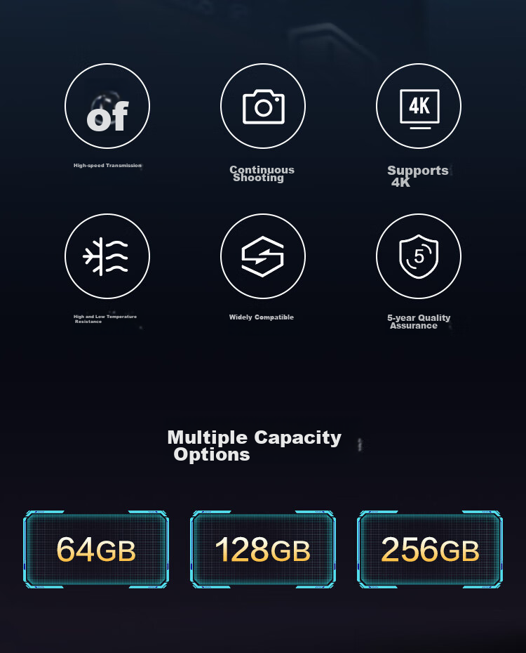 JD Original 256GB TF Memory Card, 4K Ultra HD, Gold Label Pro Series Storage Card U3V30A2, Compatible with Drones And Action Cameras, Read Speed 200MB/S 2
