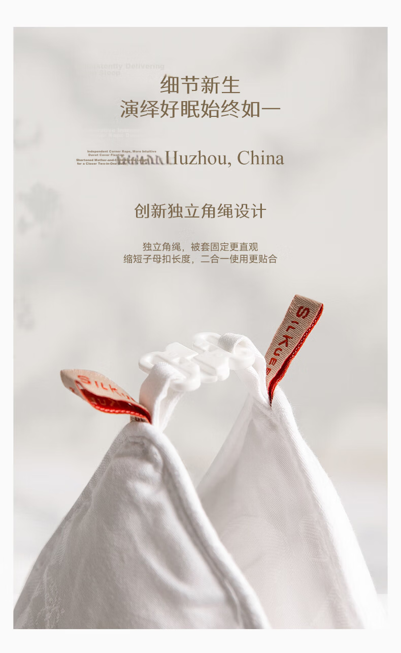 Silk Empress "Splendid Years" 100% Premium Mulberry Silk Quilt Spring and Autumn Quilt Core 4 Jin 200*230cm [White] 23