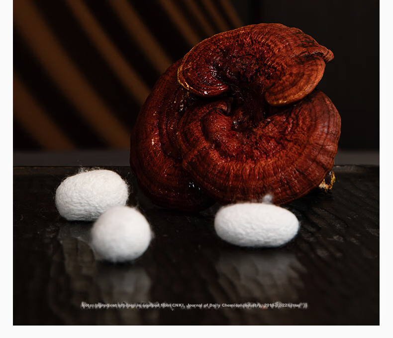 Silk Empress "Splendid Years" 100% Premium Mulberry Silk Quilt Spring and Autumn Quilt Core 4 Jin 200*230cm [White] 10