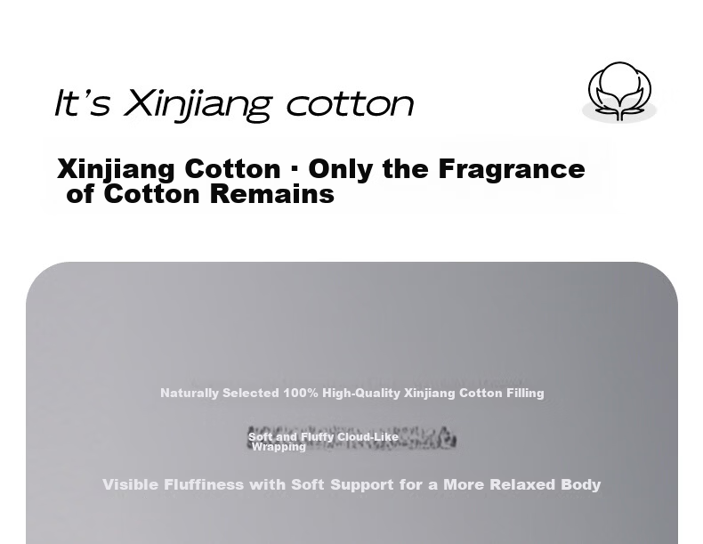 Hongdou Class A Antibacterial Xinjiang Cotton Quilt Core Single Spring and Autumn Quilt Core Air Conditioning Quilt Core 2*2.3m 4 Jin Leaf 6