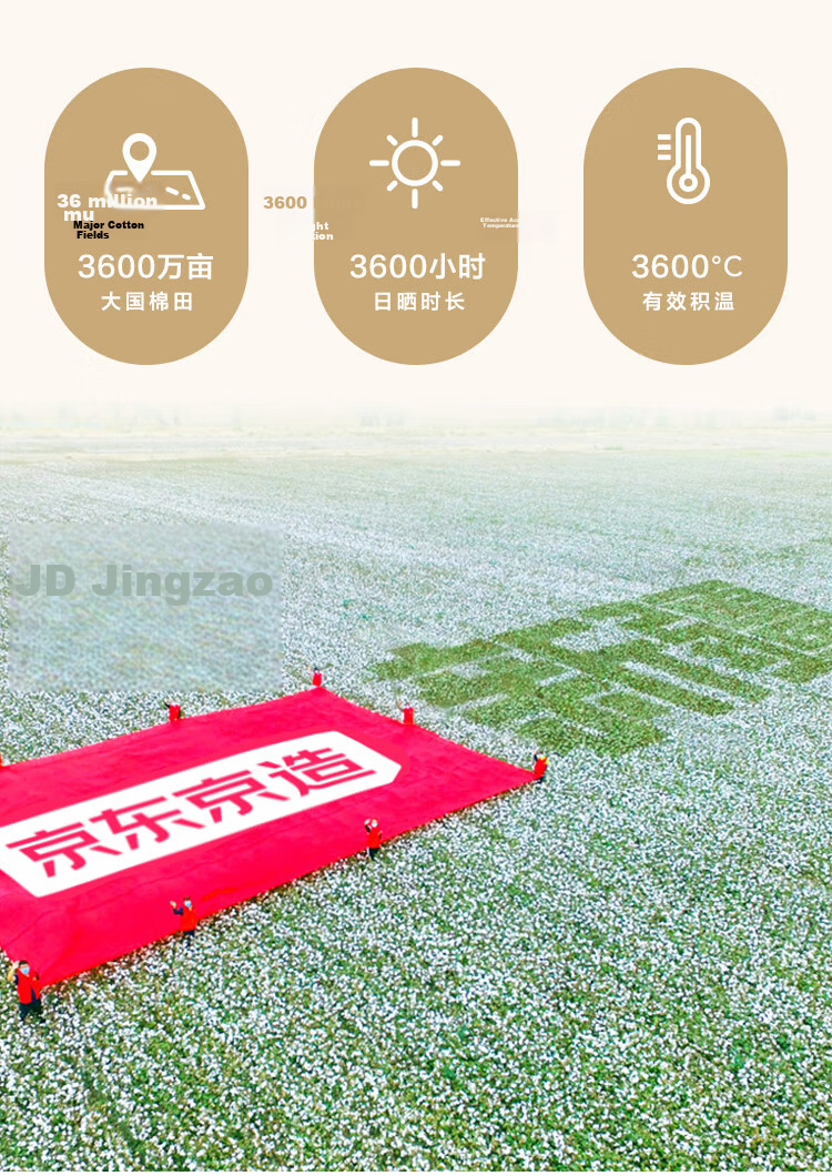 JD Jingzao [Class A Xinjiang Cotton] All-Season Cotton Quilt Comforter Spring Autumn Quilt 1.5x2m 18