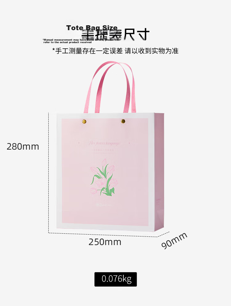 Bijiasuo (PIMIO) Fountain Pen, Signature Pen, Gel Pen, Ballpoint Pen Product, Graduation Gift, Bag Packaging, Free Gift, T28 Starry Wheel Handbag 2