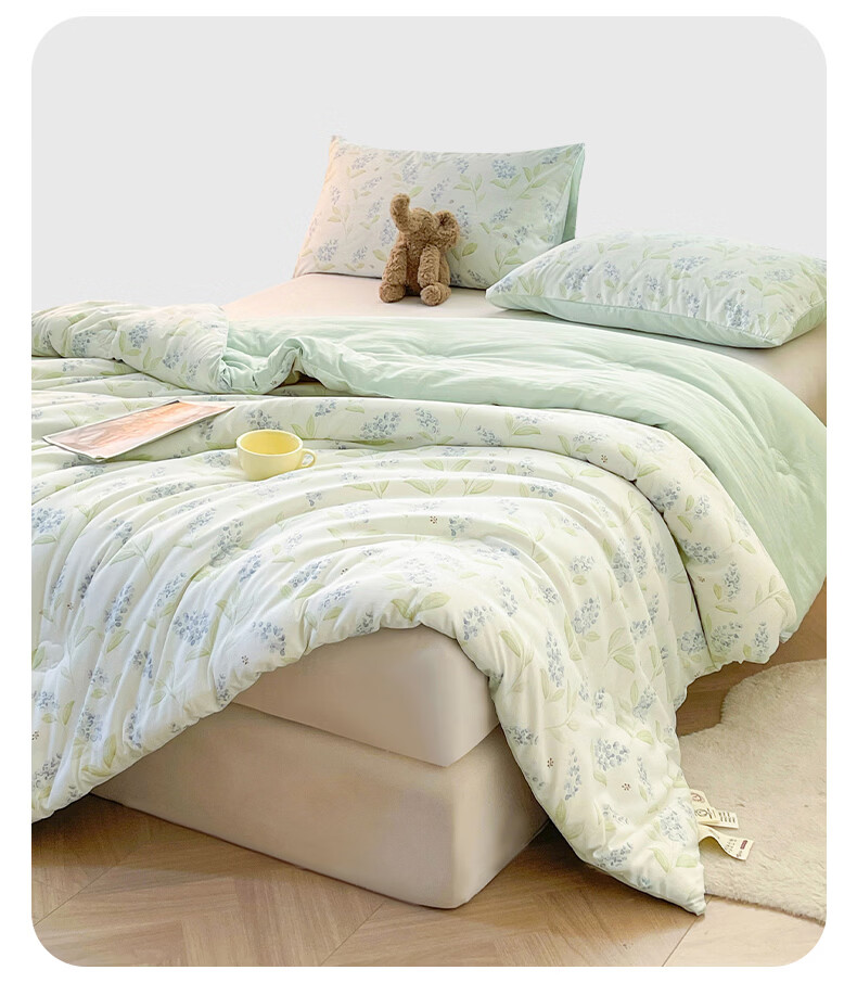 Hongdou Class A Antibacterial Xinjiang Cotton Quilt Core Single Spring and Autumn Quilt Core Air Conditioning Quilt Core 2*2.3m 4 Jin Leaf 15