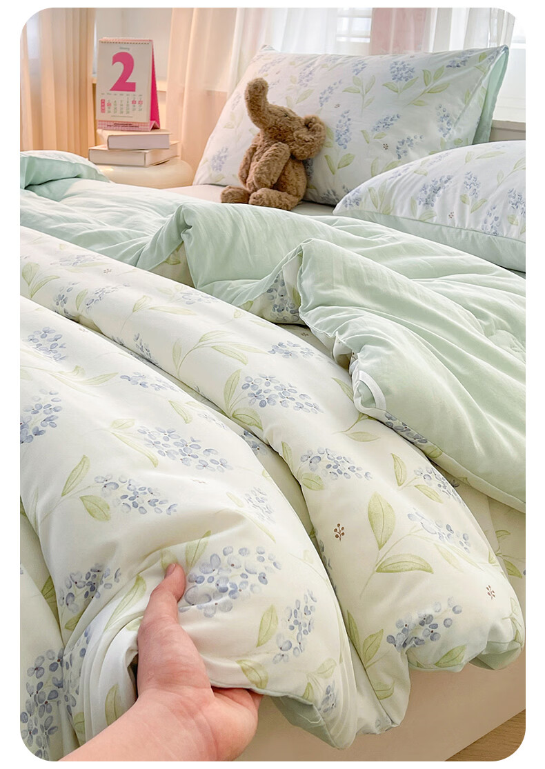 Hongdou Class A Antibacterial Xinjiang Cotton Quilt Core Single Spring and Autumn Quilt Core Air Conditioning Quilt Core 2*2.3m 4 Jin Leaf 5
