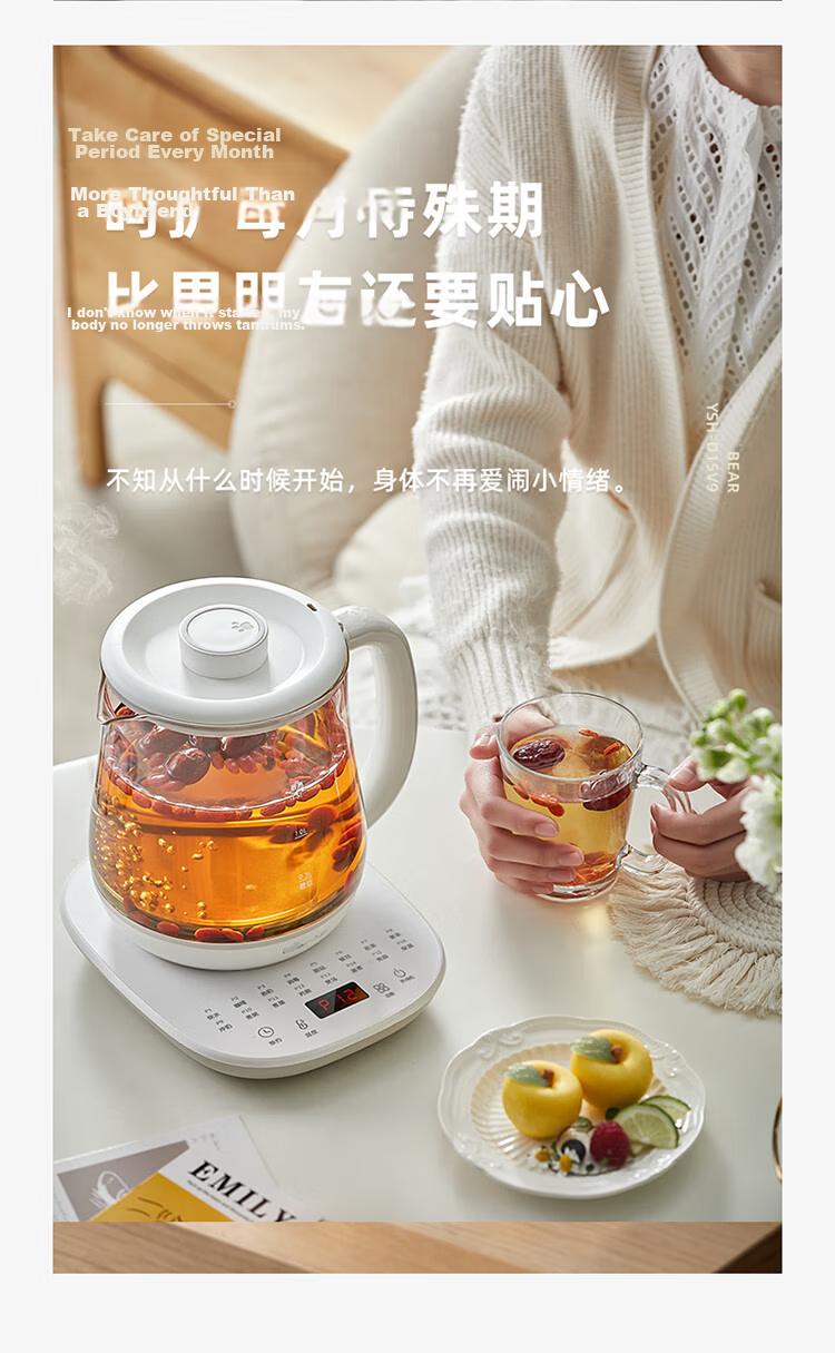 Bear Decoction Pot, Chinese Herbal Medicine Pot, Automatic Electric Sand Pot for Decocting, 4L Large Capacity JYH-S40D1, Double Decoctio 7