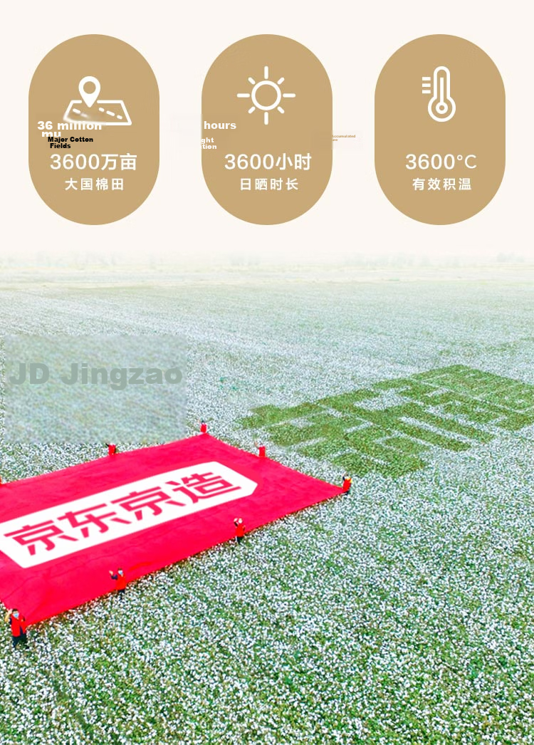 JD Original 100% Natural Xinjiang Cotton Quilt, Pure Cotton Air Conditioning Comforter, Single Bed Quilt, Spring And Autumn Quilt, 3 Jin (1.5kg), 1.5x2m 5