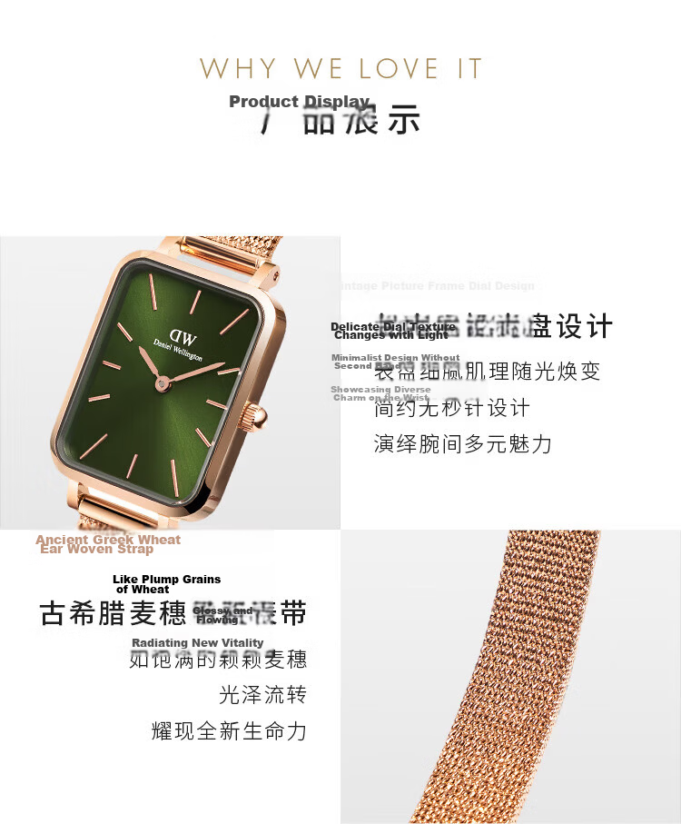Daniel Wellington DW Women's Vintage Square Dial Small Green Quartz Watch Gift Box Birthday Present for Girlfriend DW445 5