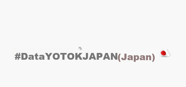 YOTOK Official Genuine Japanese Lumbar Support Office Cushion Backrest Seat Pad Integrated 17