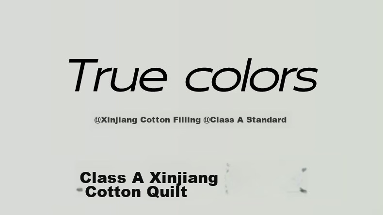 Hongdou Class A Antibacterial Xinjiang Cotton Quilt Core Single Spring and Autumn Quilt Core Air Conditioning Quilt Core 2*2.3m 4 Jin Leaf 1