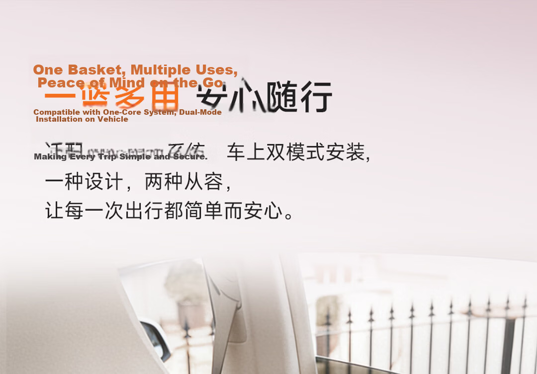 Welldon Little Crown 3 New National Standard Infant Car Seat Carrier 0-15 Months Newborn Baby Special Seat 4