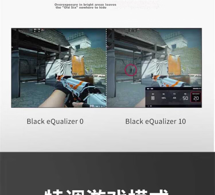 SANV 24.5-inch Native 310Hz High Refresh Rate Gaming Monitor FastIPS HDR400 Hardware Low Blue Light Flicker-Free FPS Gaming Screen Z245F3 10