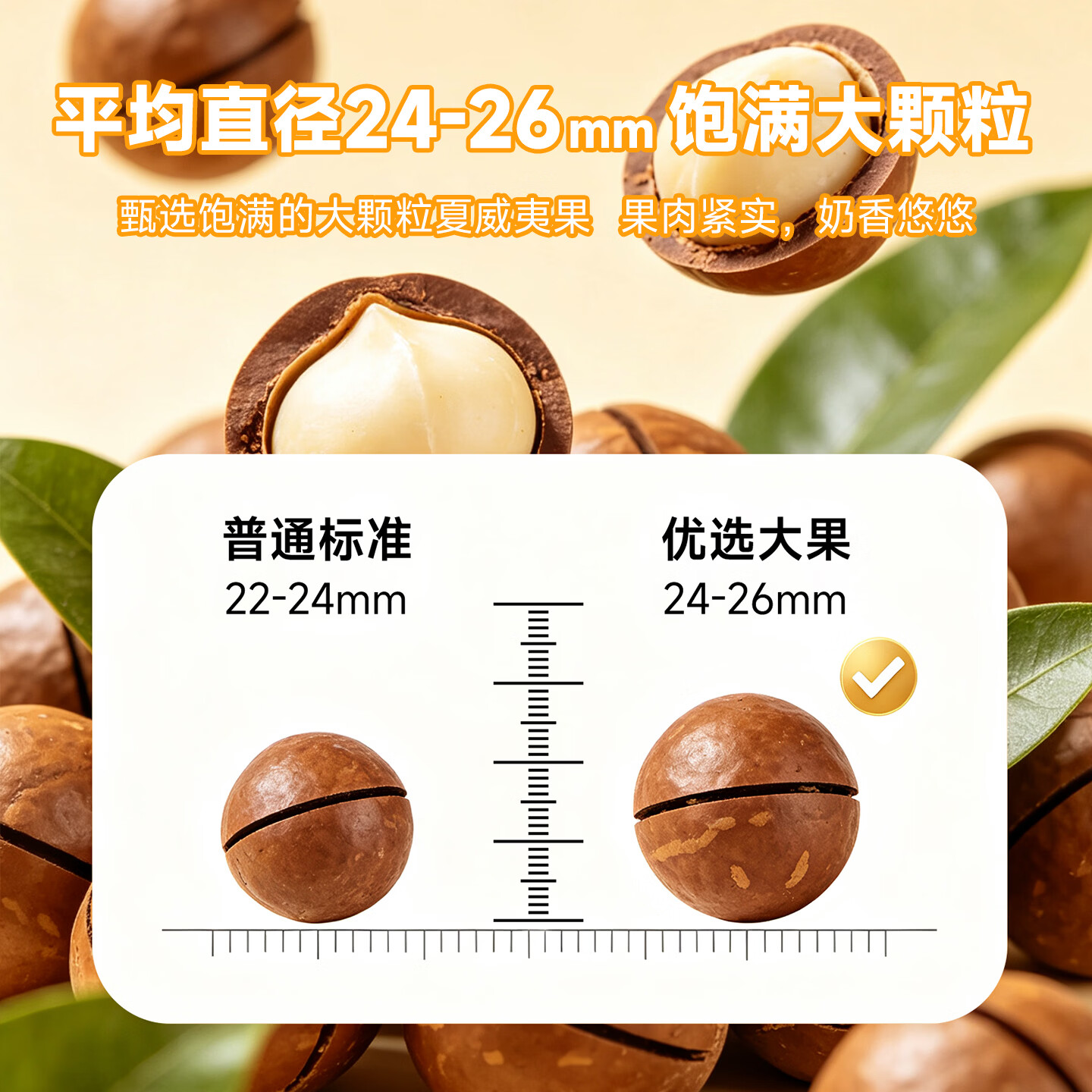 百历坚罐装奶香味夏威夷果500g坚果炒货（内含开口器）