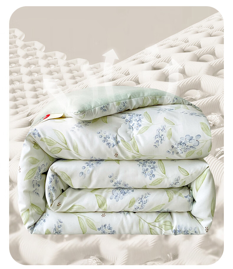 Hongdou Class A Antibacterial Xinjiang Cotton Quilt Core Single Spring and Autumn Quilt Core Air Conditioning Quilt Core 2*2.3m 4 Jin Leaf 9