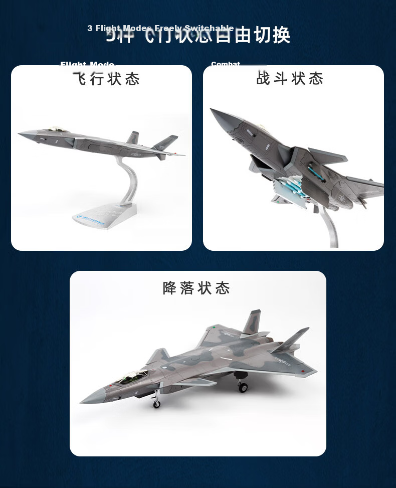 Terebo Aviation Cultural Creative Authentic 1:100 J-20 Fighter Jet Alloy Simulation Aircraft Model Airshow Veteran Commemorative 14