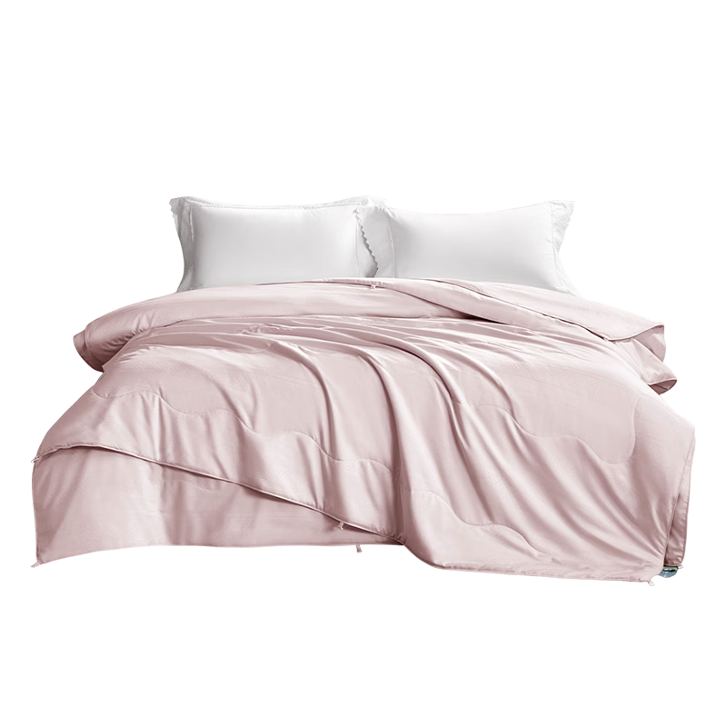 Mengjie Home Textiles [70th Anniversary] 100% Silk Summer Quilt Cooling Washable Air Conditioning Quilt 248x248cm Filling 500g