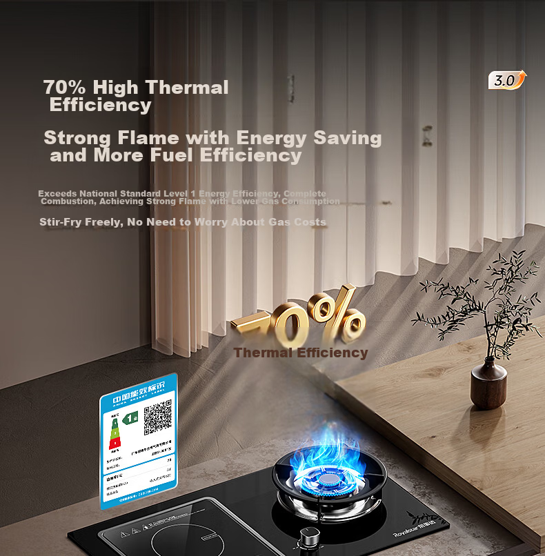 Royalstar Extraordinary Series Dual Fuel Gas Stove Built-in Double Burner Natural Gas One Gas One Electric Integrated Stove 70% Thermal Efficiency JZDT-30B1 Right 16