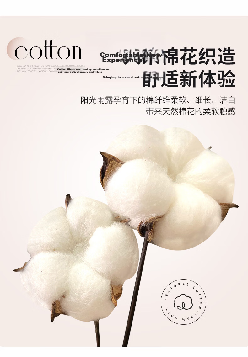 MUJI 100% Cotton 4-Piece Bedding Set for 1.5/1.8m Bed, Pure Cotton Bed Sheet and Duvet Cover 200x230cm 7