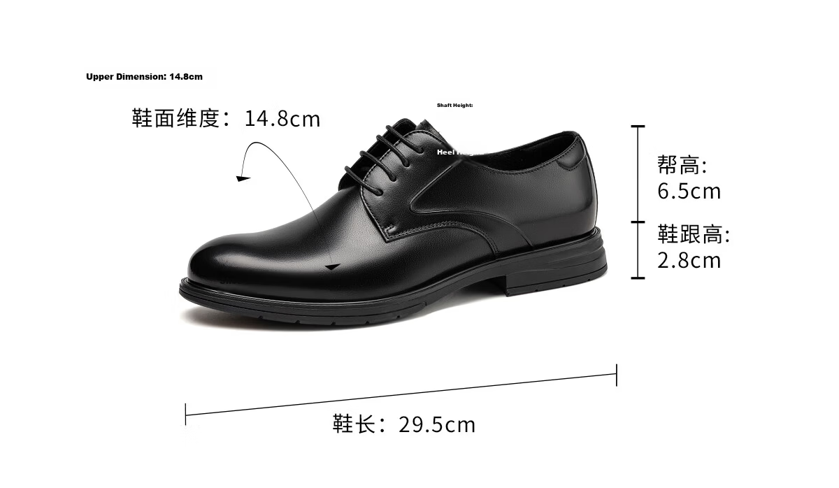 Aokang Men's Shoes, Autumn New Style Formal Leather Shoes, Cowhide Lace-Up Business Professional Groom Comfortable Men's Shoes, Black, Size 41 2