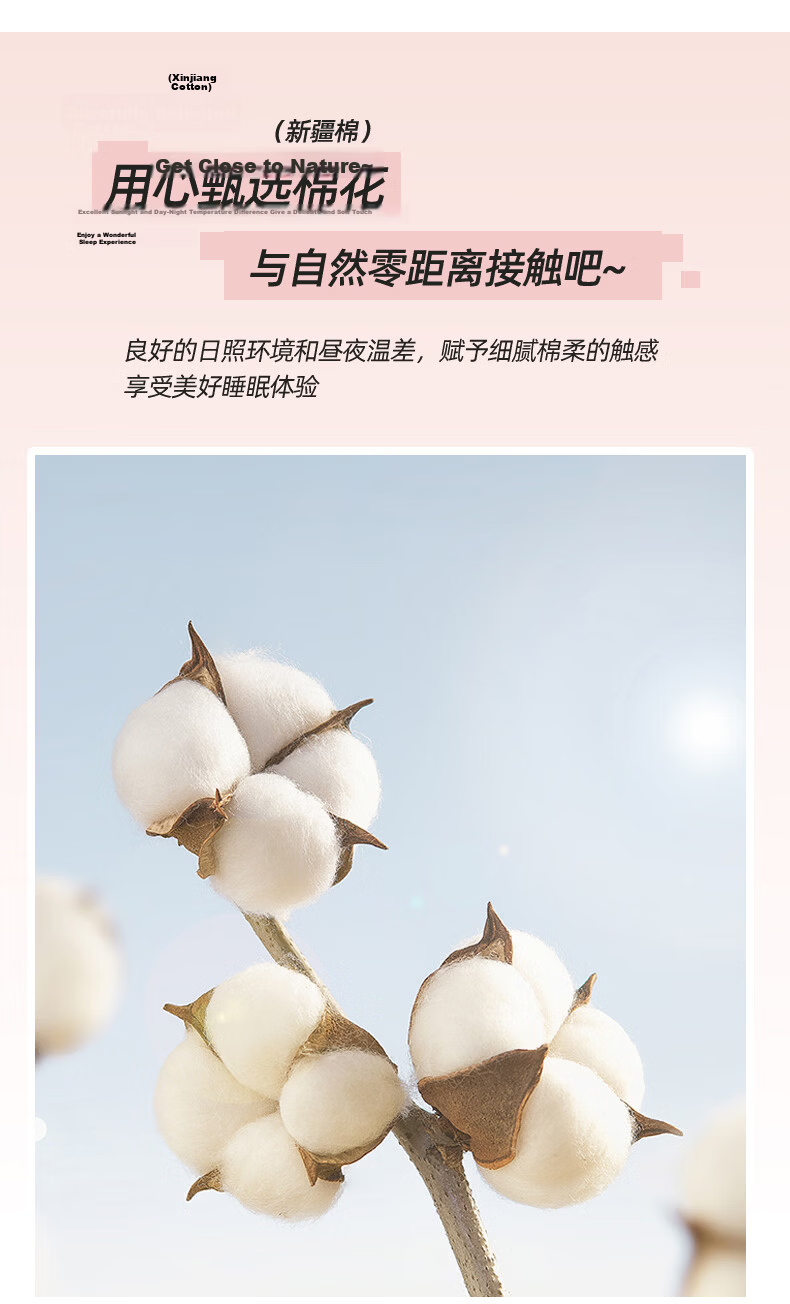 Hongdou 100% Cotton Full Coverage Fitted Sheet Mattress Protector Pure Cotton Bed Cover 1.8*2.0m Detailed Pattern 7