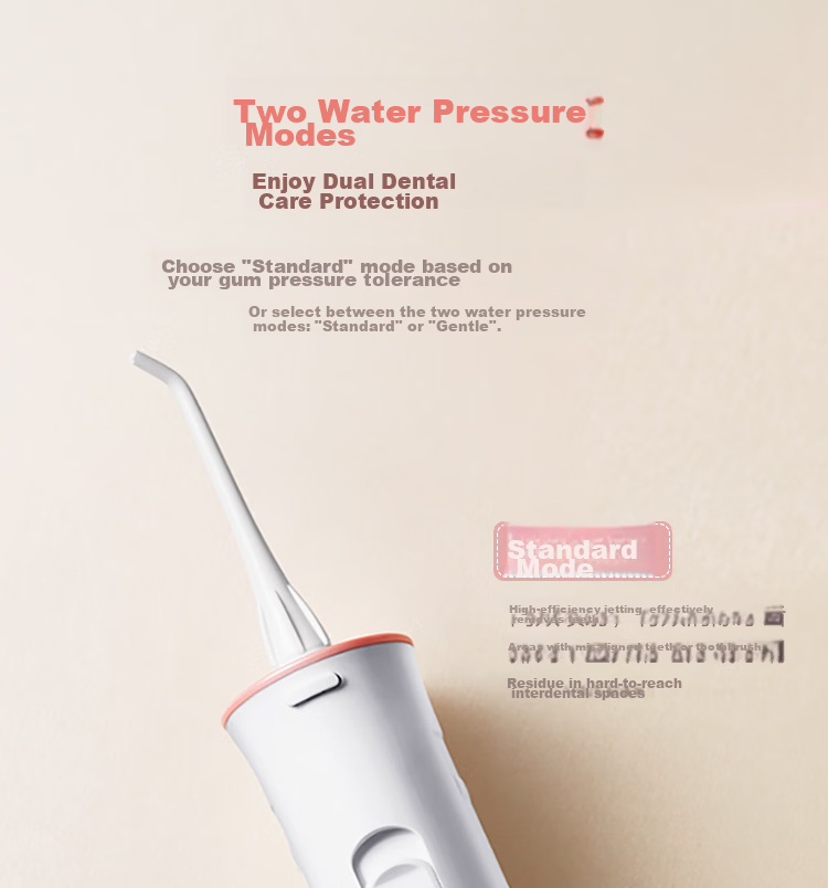 Panasonic Water Flosser Oral Irrigator Dental Cleaner Portable Beginner Gift for Girlfriend Couples JDJ1 12