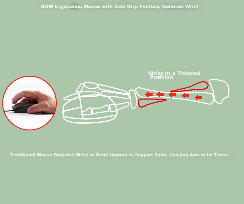 B.O.W Hangshi M190U Ergonomic Wired Mouse Office Computer Vertical Grip Mouse Silent Mouse for Drawing and Modeling Matcha Green 7