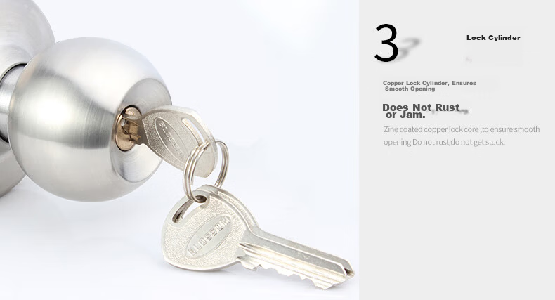 BLOSSOM Stainless Steel Spherical Lock Universal Indoor and Outdoor Wooden Door Lock Model 587 6