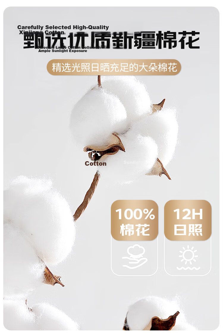 Wuyingongfang, Mu Yin Liangpin Textile Subsidiary, Pure Cotton Buckwheat Pillow, 100% All Buckwheat Hulls And Buckwheat Skin Pillow Core, Extra Large, White 8