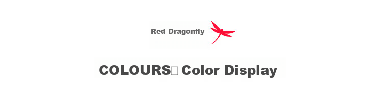 RED DRAGONFLY Men's Fashion Trendy Cotton Letter Embroidered Comfortable Breathable Wrinkle-Free Colorblock Casual Shorts 9