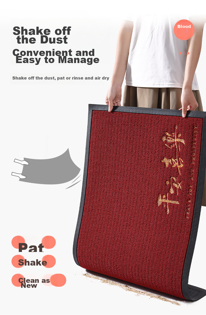 Boneng Safe Entry And Exit Doormat, High-End Entrance Mat, 2026 New Style Foot Mat, Doorway Entrance Mat, 60x90cm 9