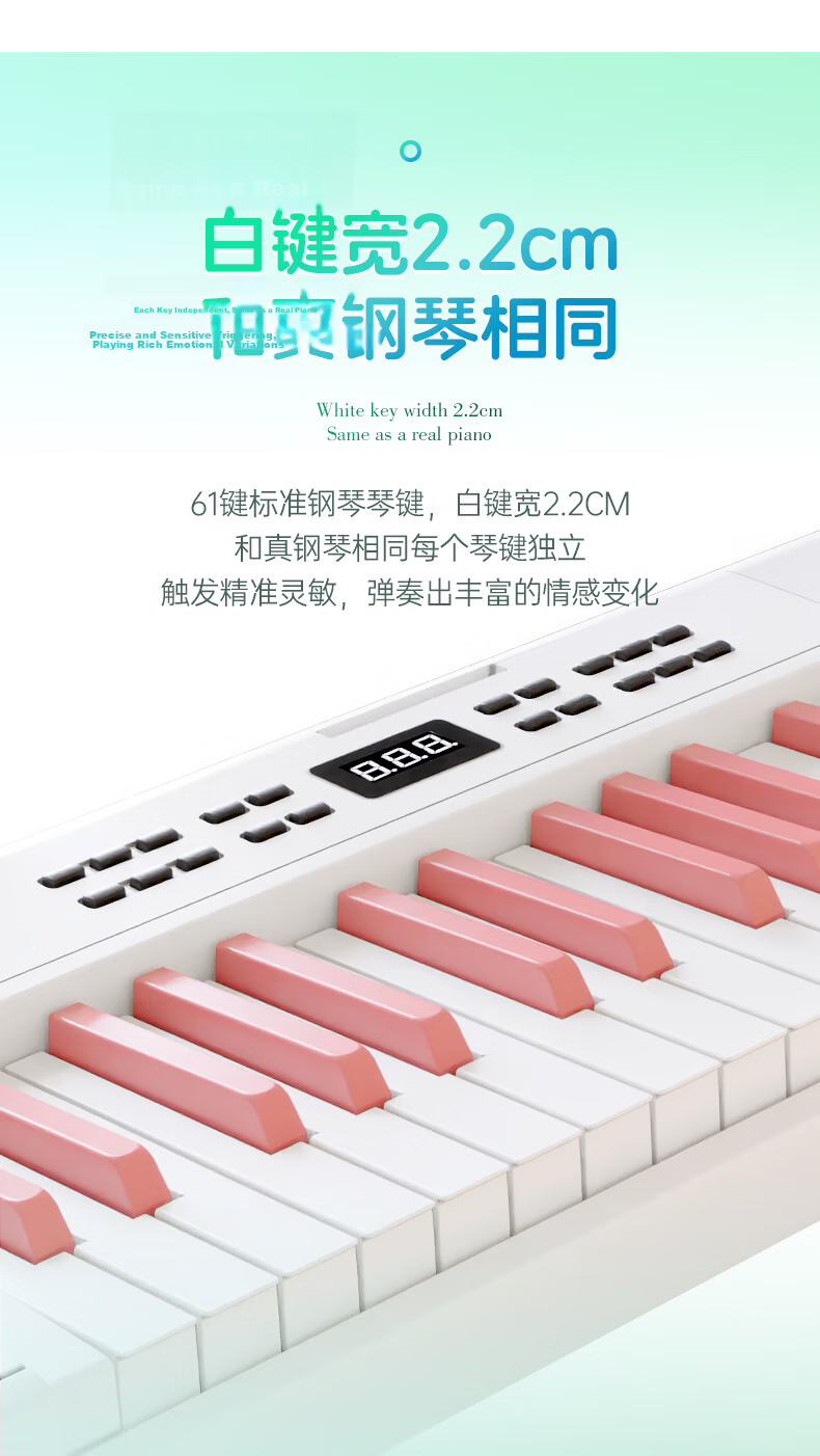 Beethostar Foldable Digital Piano, 88 Weighted Keys, Portable Electronic Piano for Adults And Children, Professional Performance Instrument for Teachers And Performers 3
