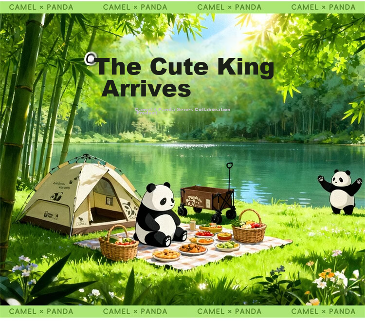 CAMEL Outdoor Hammock Swing Anti-Tip Camping Picnic Travel Mesh Bed Dorm Hanging Chair 1142253006A Warm Sand Color 17