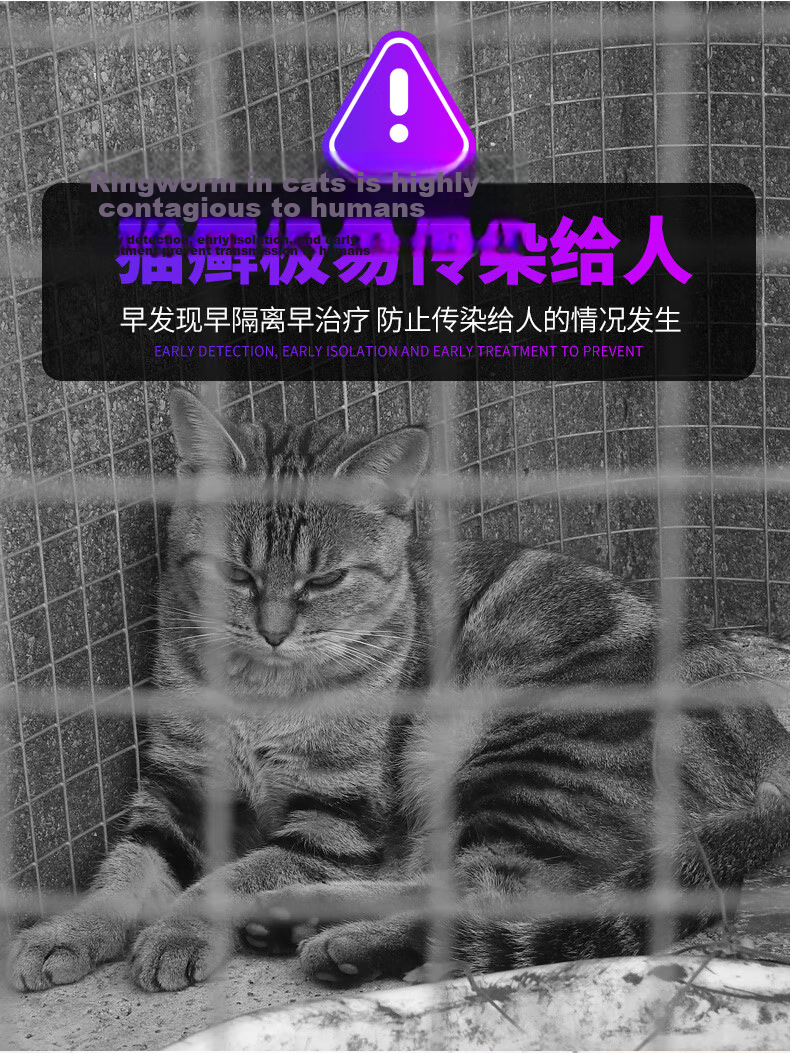 SHENYU Wood's Lamp Cat Ringworm Fluorescence Detection UV Blacklight Purple Light Ultraviolet 365nm Flashlight for Cat Urine and Fungi 4